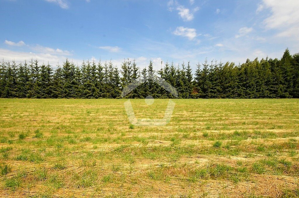 Działka budowlana na sprzedaż Krasne  865m2 Foto 1