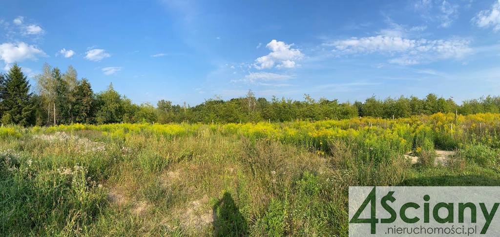 Działka budowlana na sprzedaż Żółwin  1 000m2 Foto 3