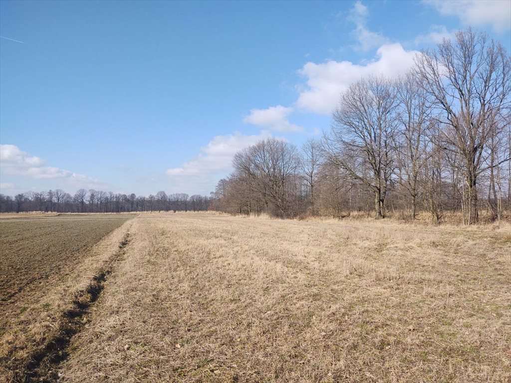 Działka rolna z MPZP, 5700 m², rekreacja i rolnictwo Ochaby Wielkie  5 700m2 Foto 1