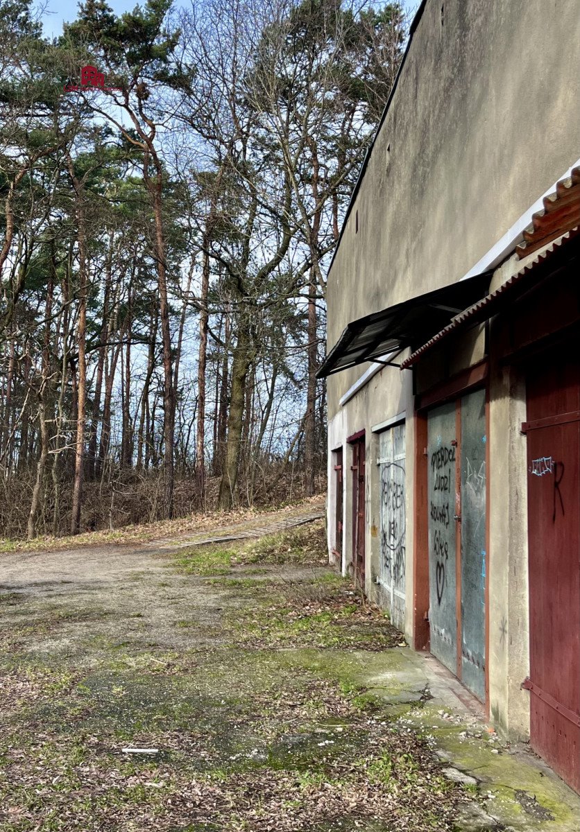 Lokal użytkowy na sprzedaż Zielona Góra, Zachodnia  19m2 Foto 1