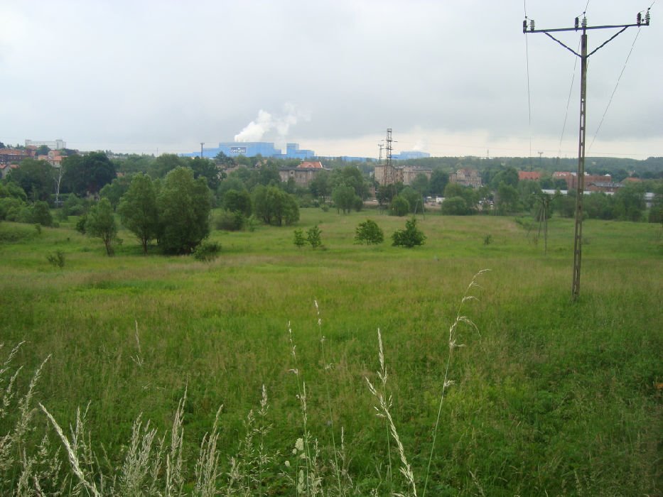 Działka inwestycyjna na sprzedaż Wałbrzych, Szczawienko  4 919m2 Foto 4