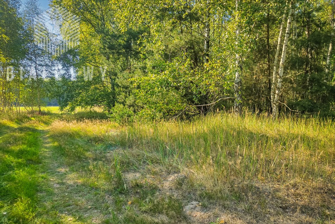 Działka budowlana na sprzedaż Borchówka  78 647m2 Foto 6