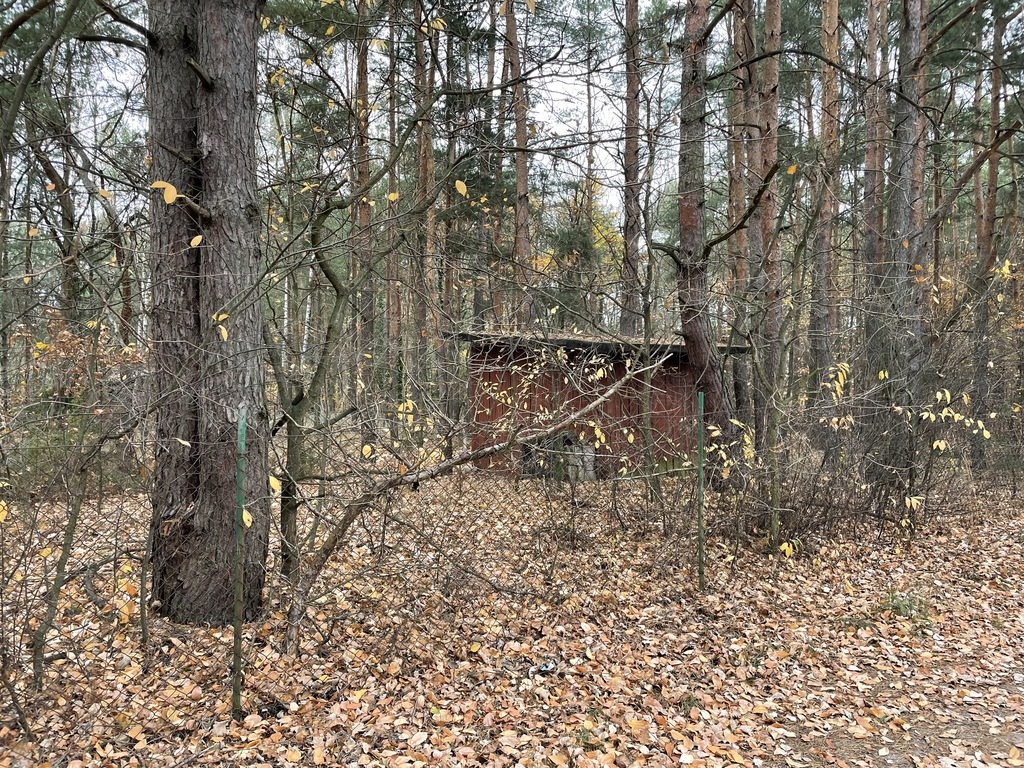 Działka rekreacyjna na sprzedaż Radzymin, Rejentówka  2 000m2 Foto 20