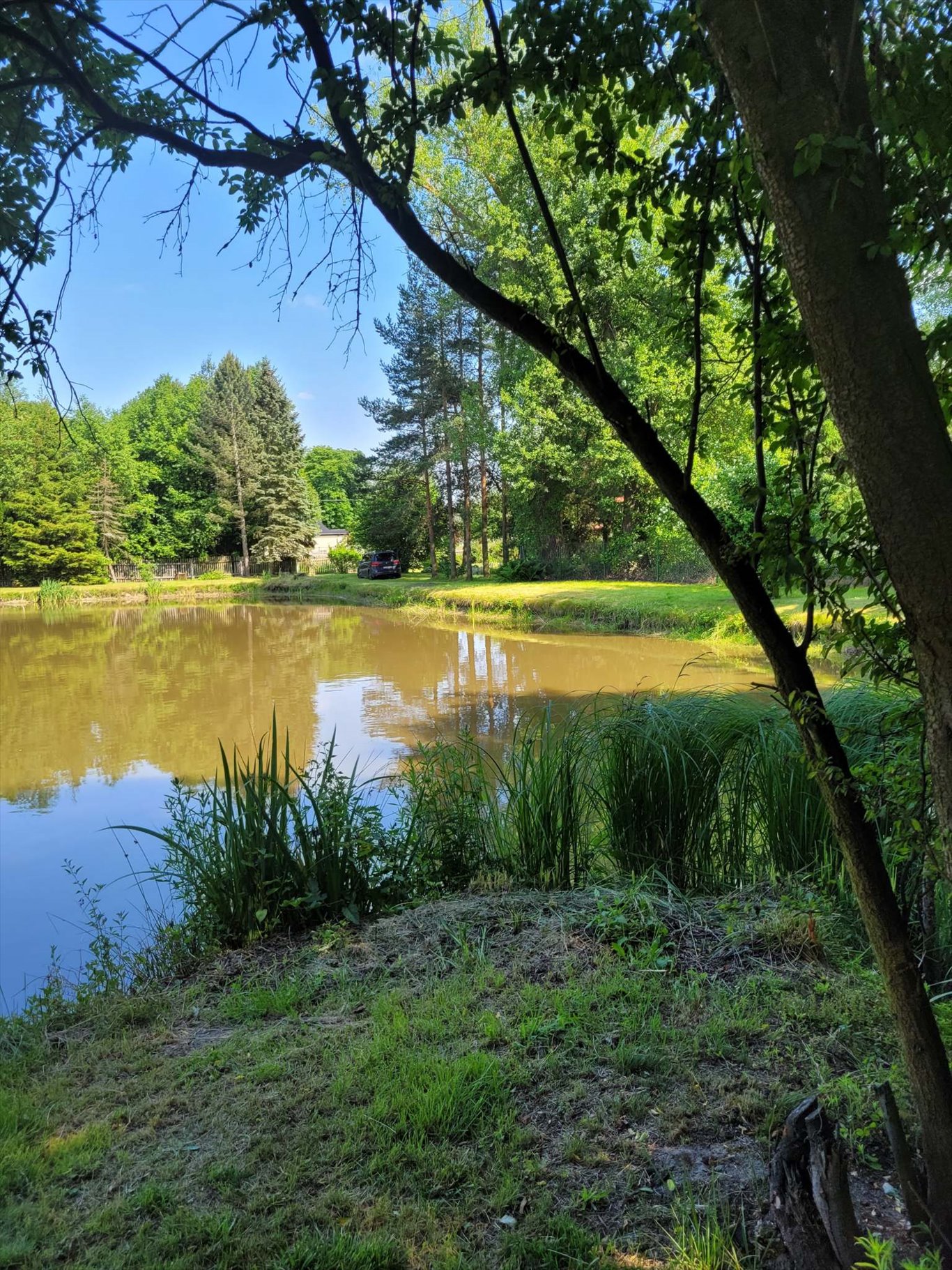 Urokliwa działka z domkiem i stawem - idealna na wypoczynek. Myślakowice-Kolonia, Myślakowice-Kolonia  4 212m2 Foto 1