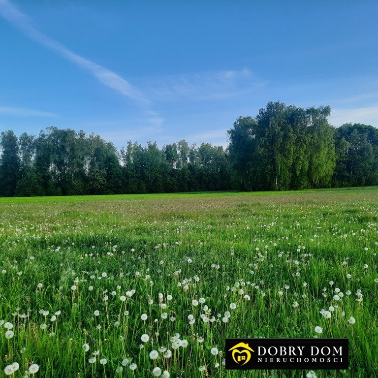 Działka rolna na sprzedaż Złotniki  15 500m2 Foto 3