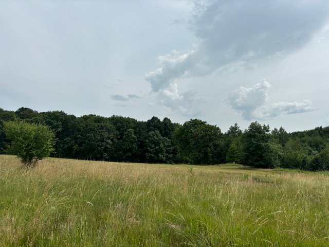 Działka inwestycyjna na sprzedaż Gryfów Śląski  2 400m2 Foto 3