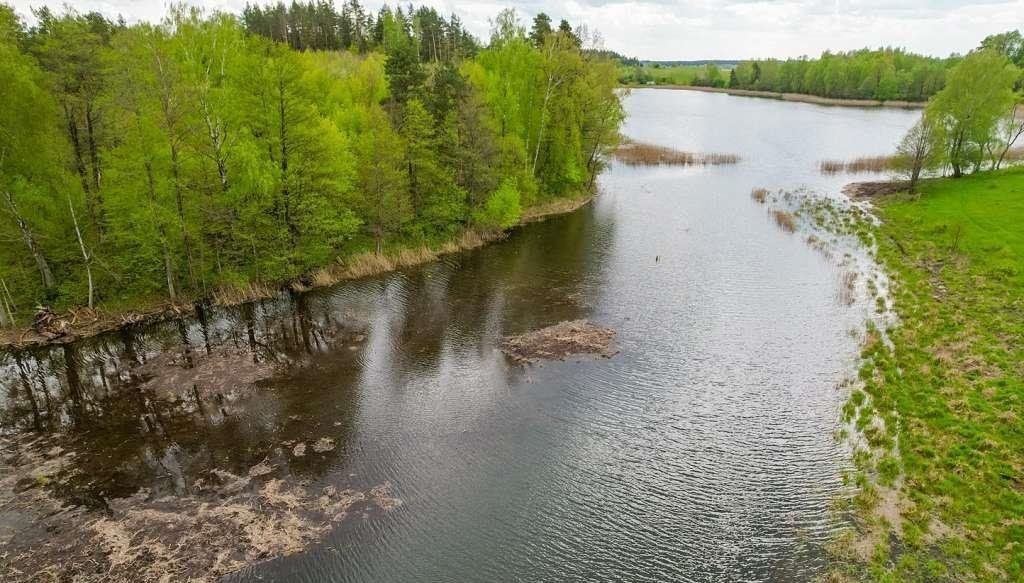 Działka nad jeziorem Rogale Małe – 3002 m², widok, linia brzegowa Rogale  3 002m2 Foto 1