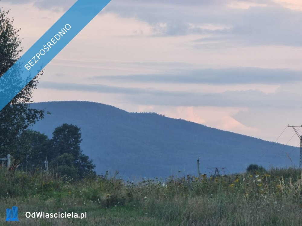 Działka budowlana na sprzedaż Stary Wielisław, Stary Wielisław  12 600m2 Foto 1