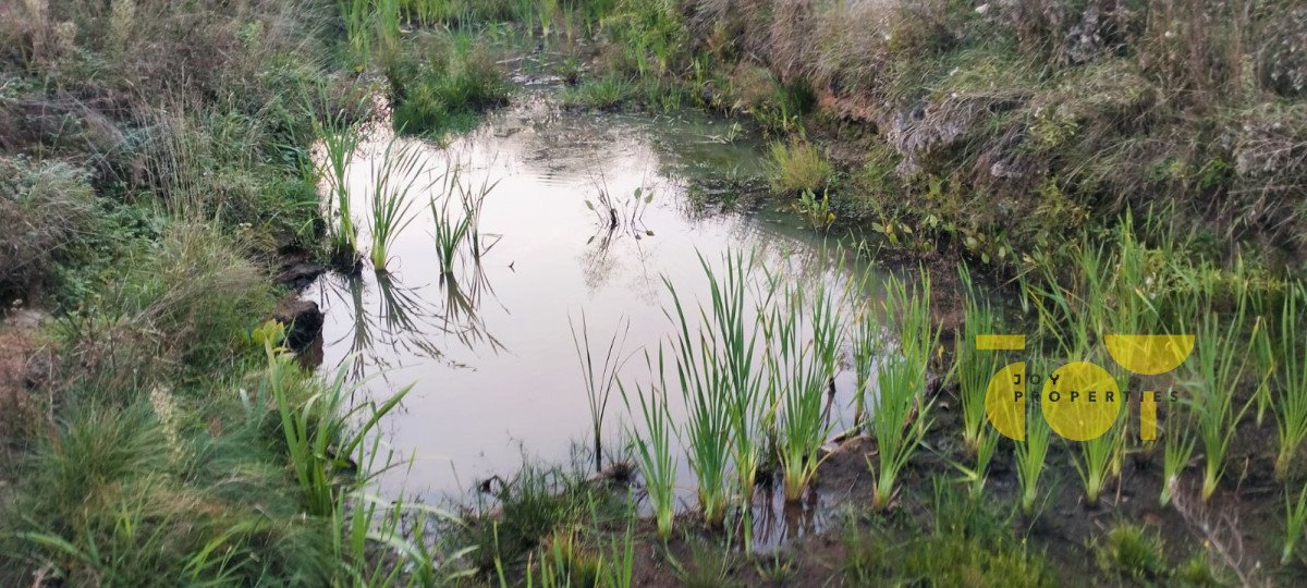 Działka budowlana na sprzedaż Oleksianka  2 966m2 Foto 6