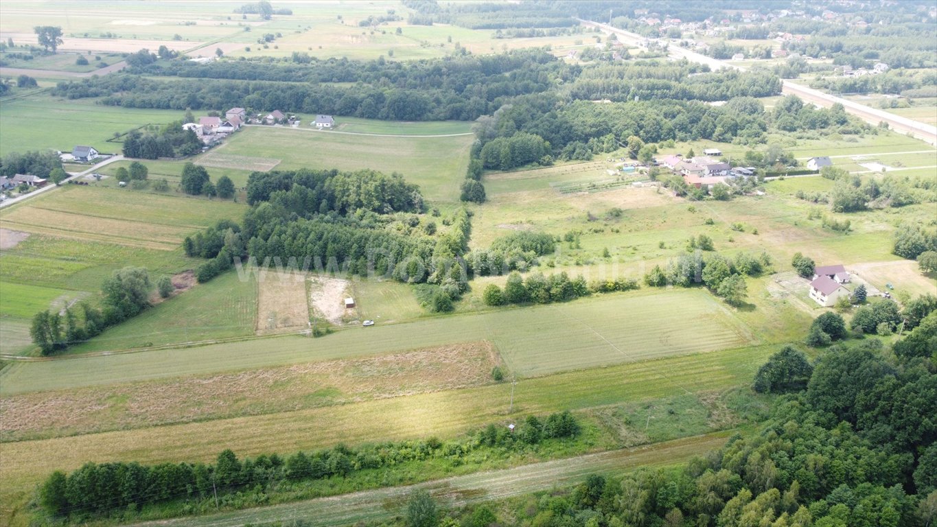 Działka budowlana na sprzedaż Jasień  1 105m2 Foto 8