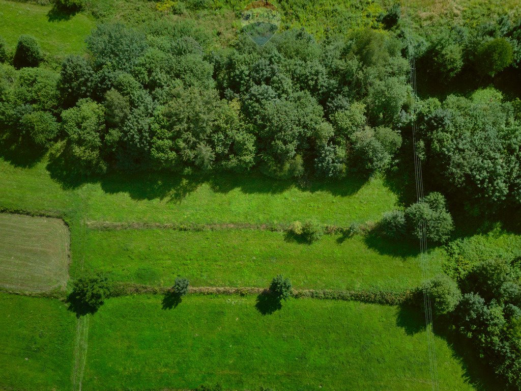 Działka budowlana na sprzedaż Stronie  2 294m2 Foto 3