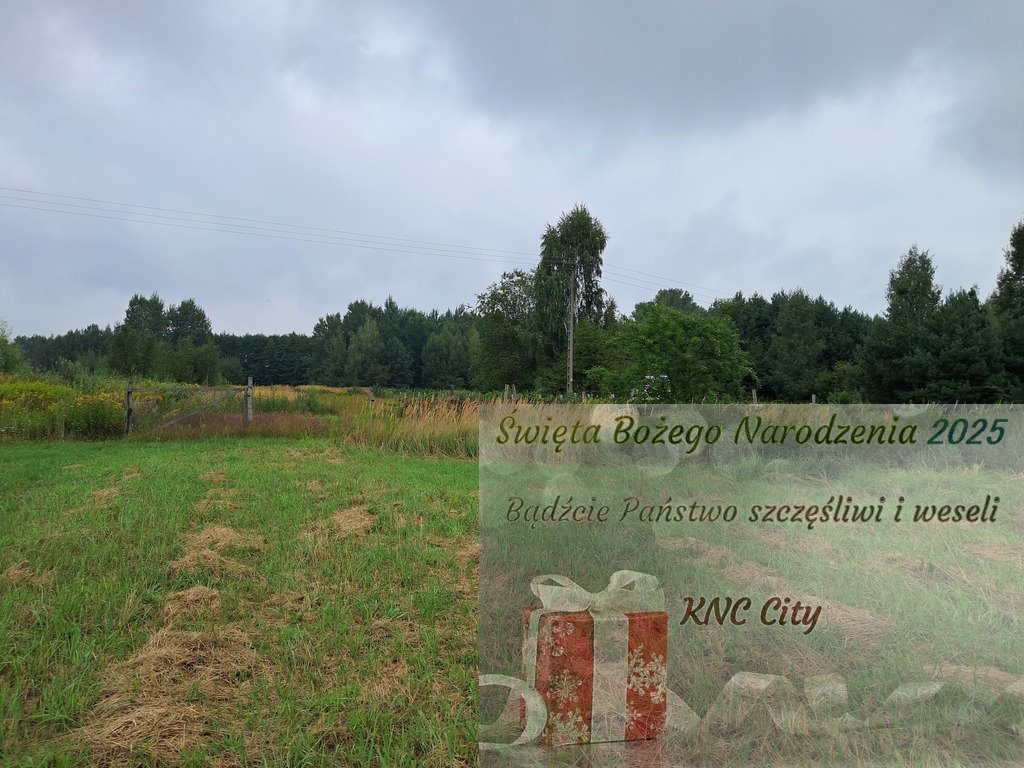 Działka inna na sprzedaż Opole Lubelskie, Zagrody  12 400m2 Foto 1