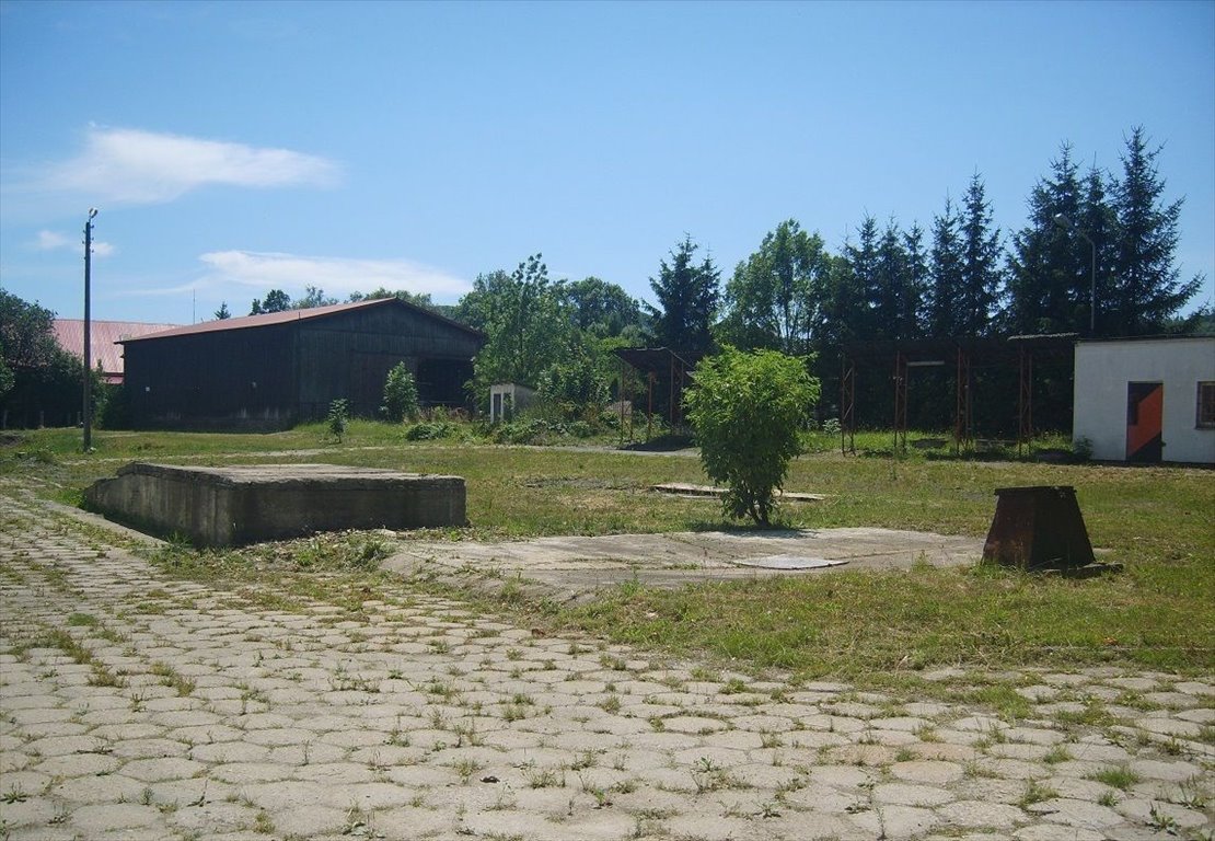 Magazyn na sprzedaż Ząbkowice Śląskie, Ząbkowice Śląskie  375m2 Foto 8