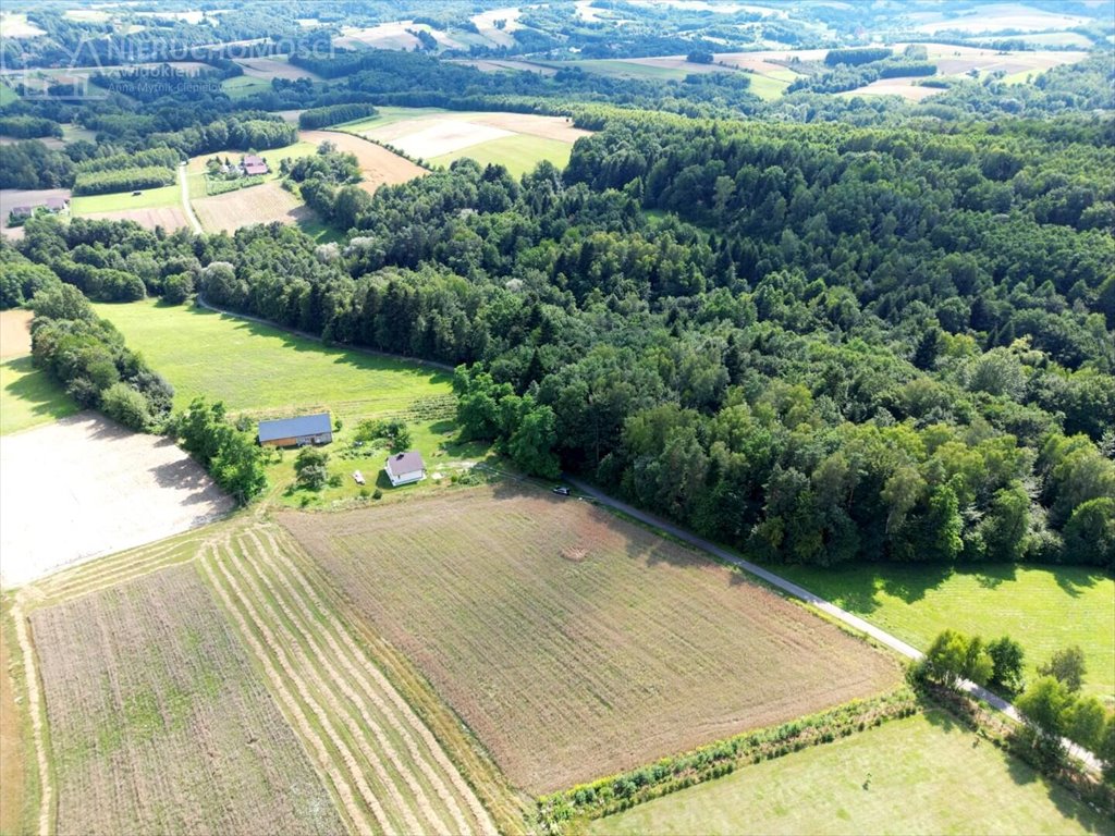 Działka budowlana na sprzedaż Błażkowa  2 200m2 Foto 14