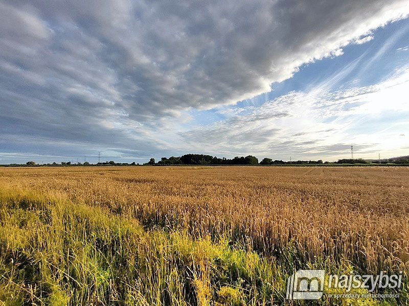 Działka rolna na sprzedaż Łupowo, Wieprzyce  2 352m2 Foto 13