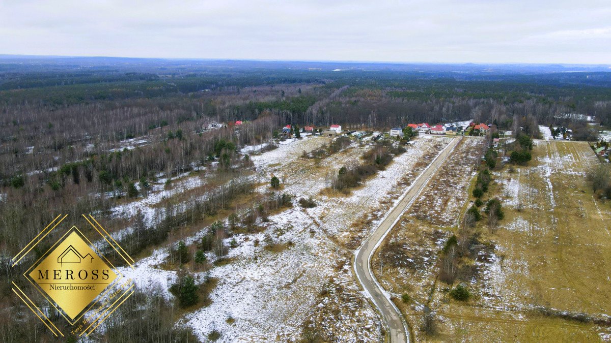 Działka budowlana na sprzedaż Siedlec Duży  4 128m2 Foto 4