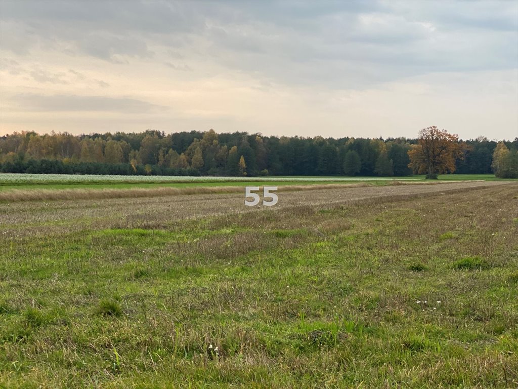 Działka siedliskowa na sprzedaż Ślądkowice  12 900m2 Foto 1