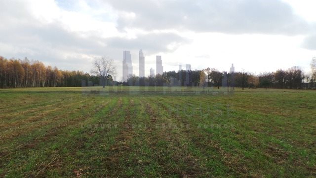 Działka budowlana na sprzedaż Lasocin  30 000m2 Foto 2