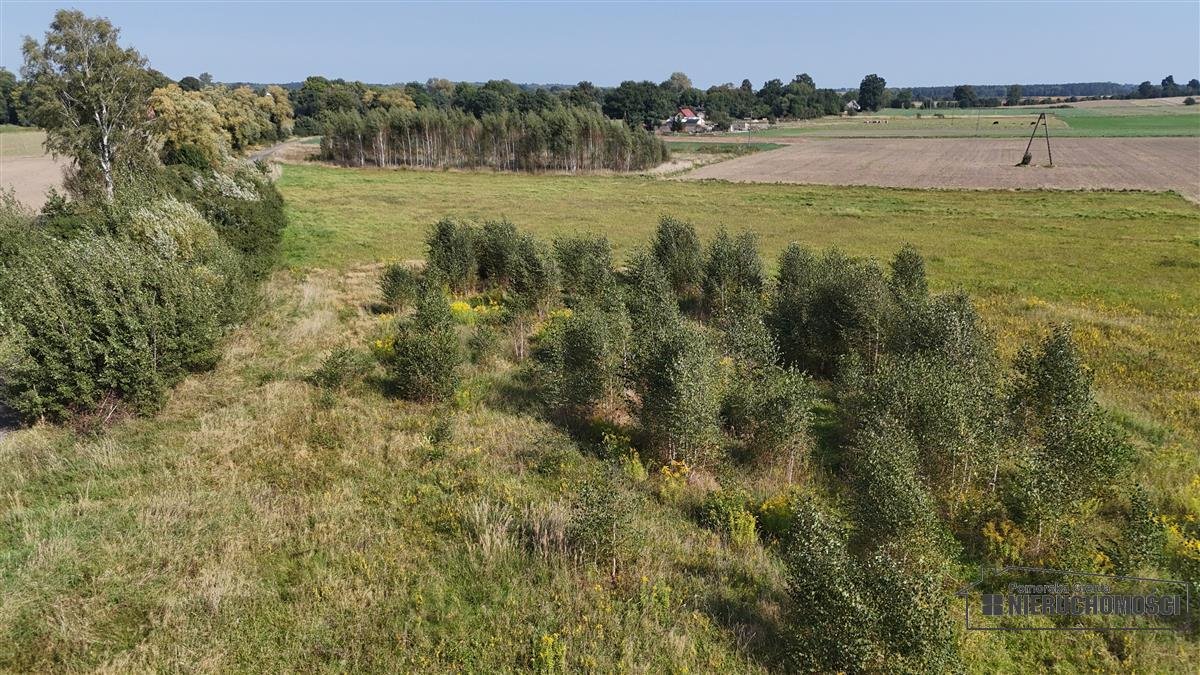 Działka budowlana na sprzedaż Bielikowo, działka  2 294m2 Foto 12