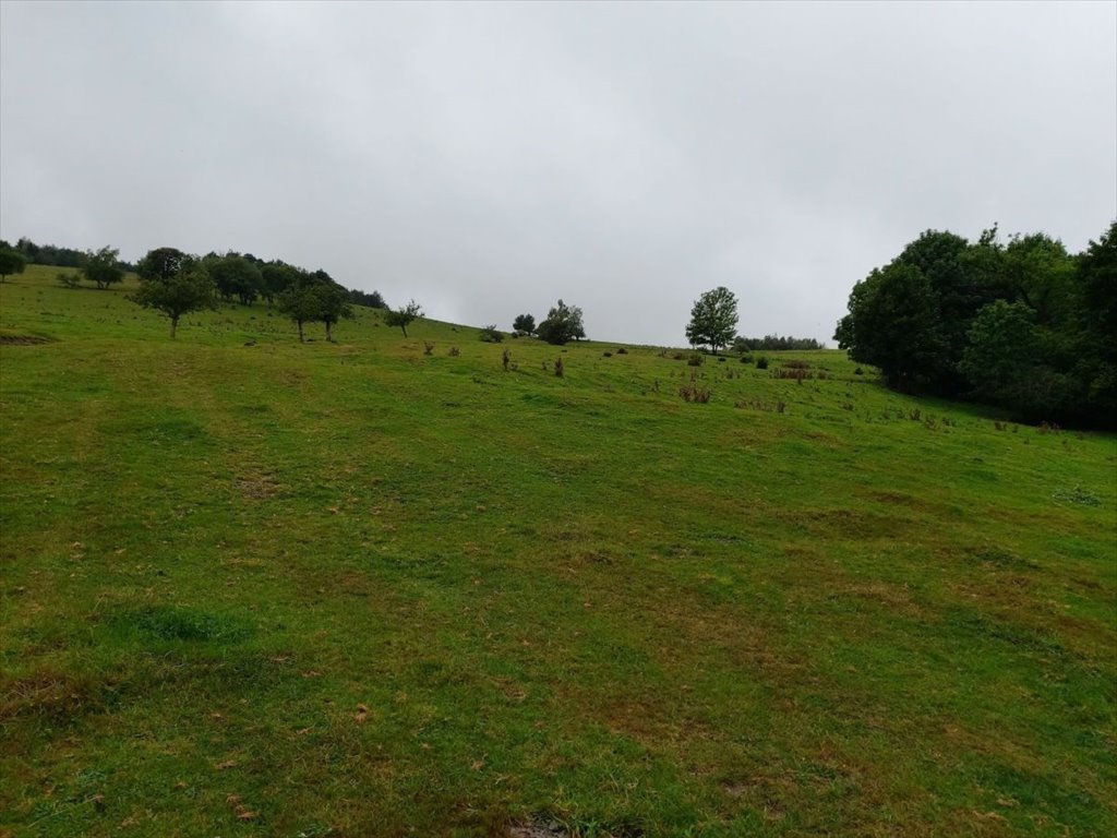 Działka rolna na sprzedaż Chrośnica  82 115m2 Foto 4