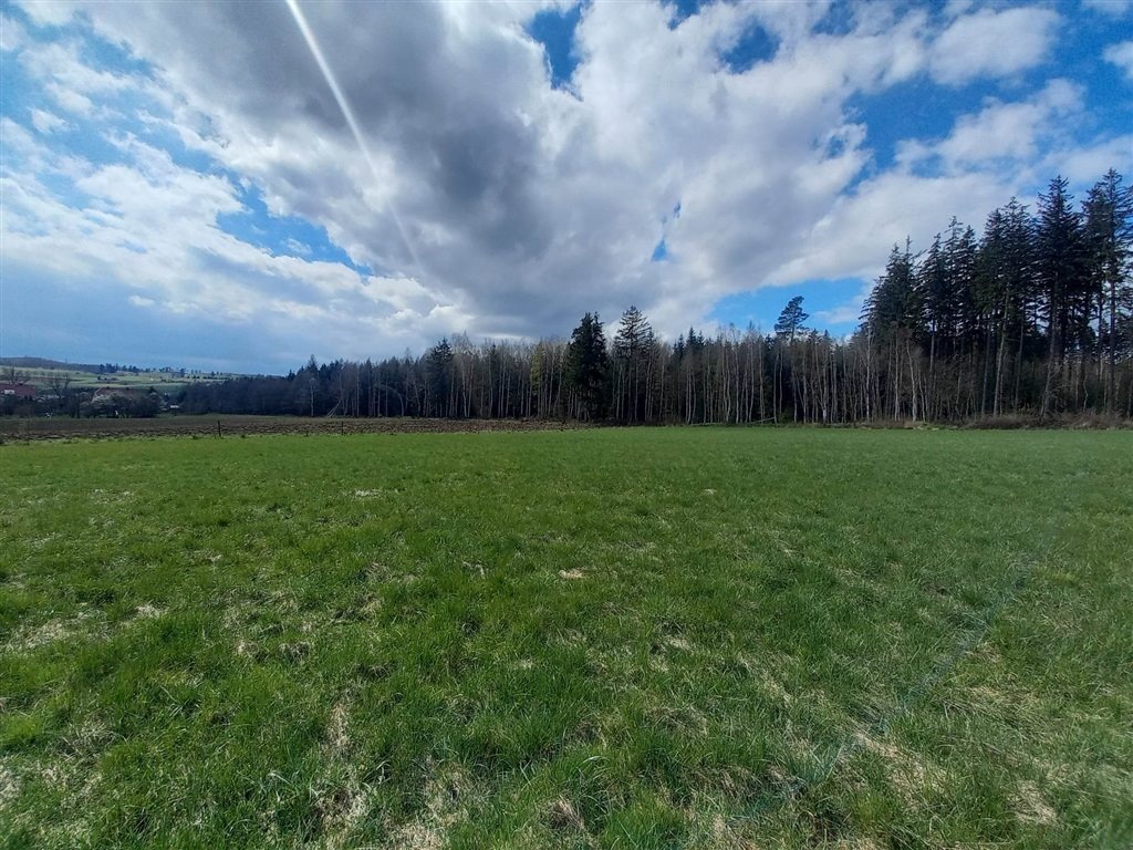 Działka inna na sprzedaż Borówno  9 400m2 Foto 1