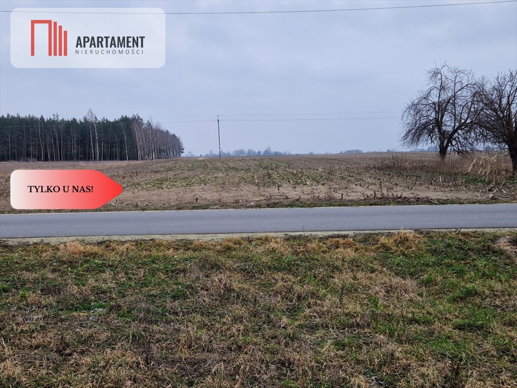 Działka budowlana 5700m2 z mediami, las i jeziora Rogowo  5 700m2 Foto 1