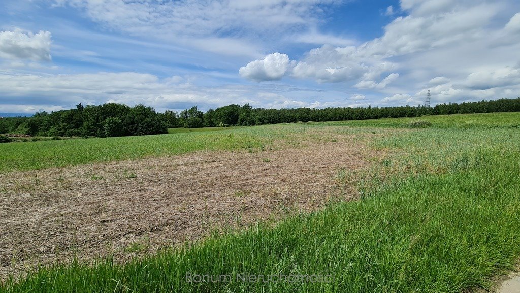 Działka inna na sprzedaż Dębowina  19 200m2 Foto 2