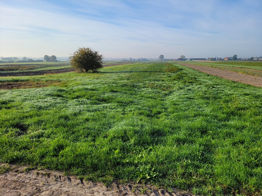 Działka rolna na sprzedaż Jędrzejów, Gozna  32 709m2 Foto 5