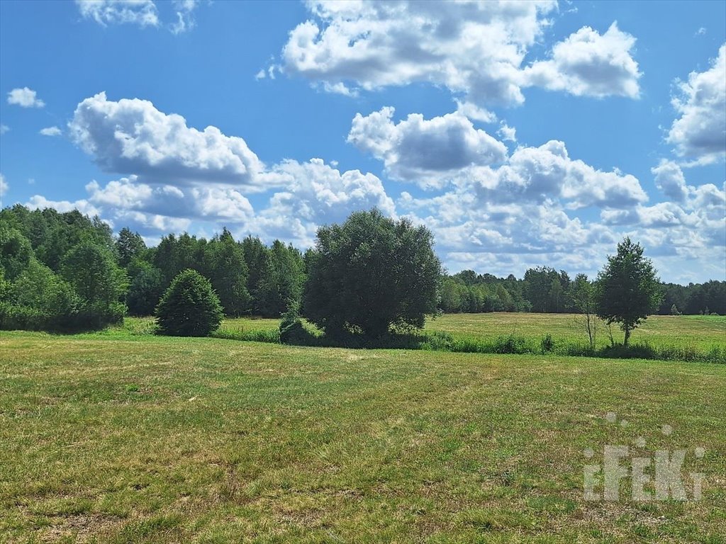 Działka budowlana na sprzedaż Bartniki  3 111m2 Foto 1
