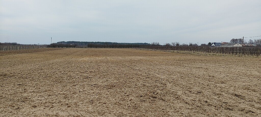 Działka budowlana na sprzedaż Śniadków Górny A  33 800m2 Foto 8