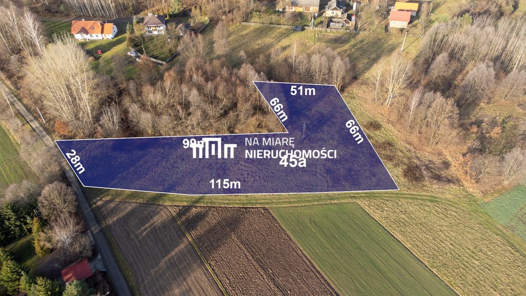 Działka 45 arów z WZ asfalt media - inwestycja lub dom Białobrzegi  4 500m2 Foto 1