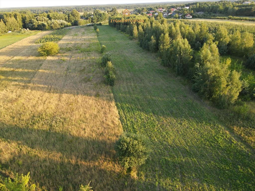 Działka inna na sprzedaż Nowe Miasto nad Pilicą, Pobiedna  9 806m2 Foto 10