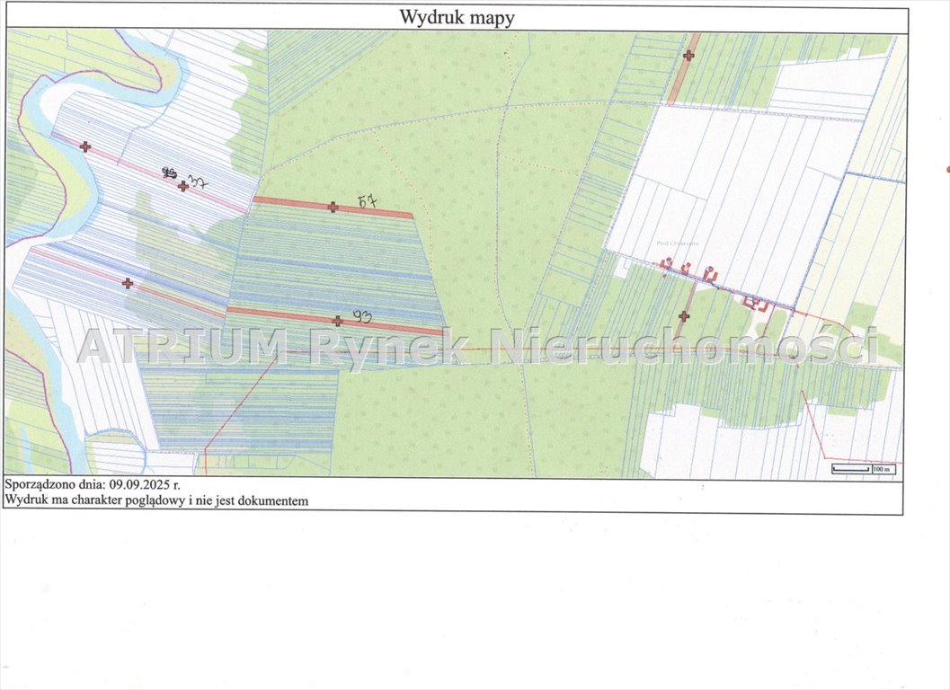 Zapraszam do zakupu 2,3 ha gruntu z lasem i pastwiskami Skotniki  20 300m2 Foto 1