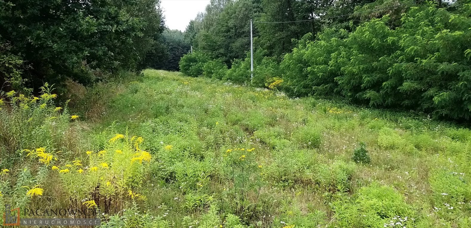 Działka budowlana na sprzedaż Brzoskwinia  1 738m2 Foto 3