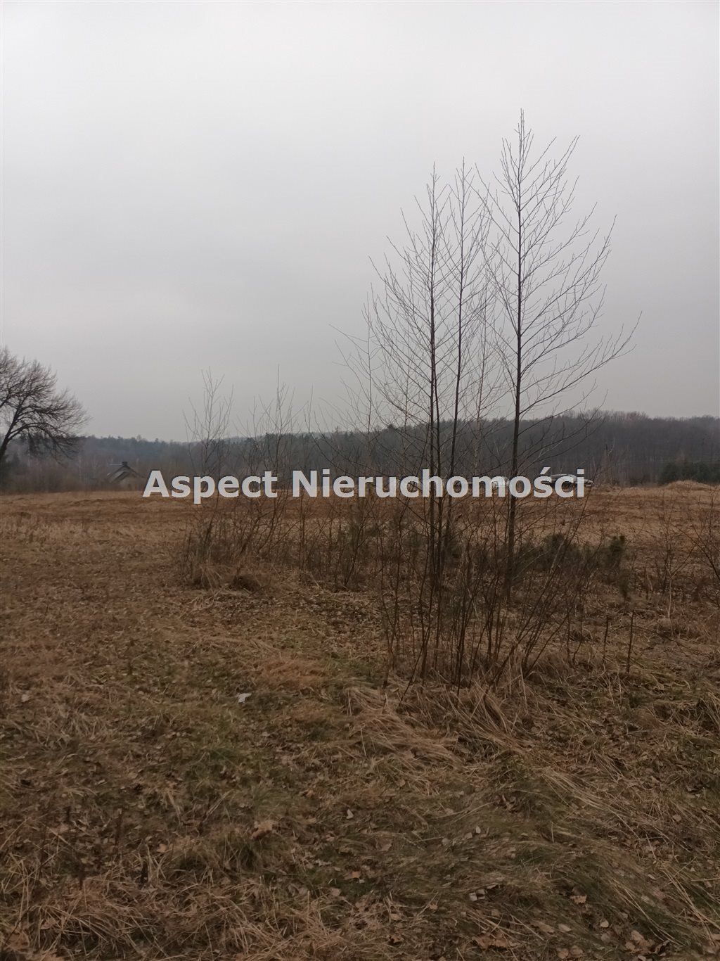 Działka budowlana na sprzedaż Rybnik, Popielów  800m2 Foto 3