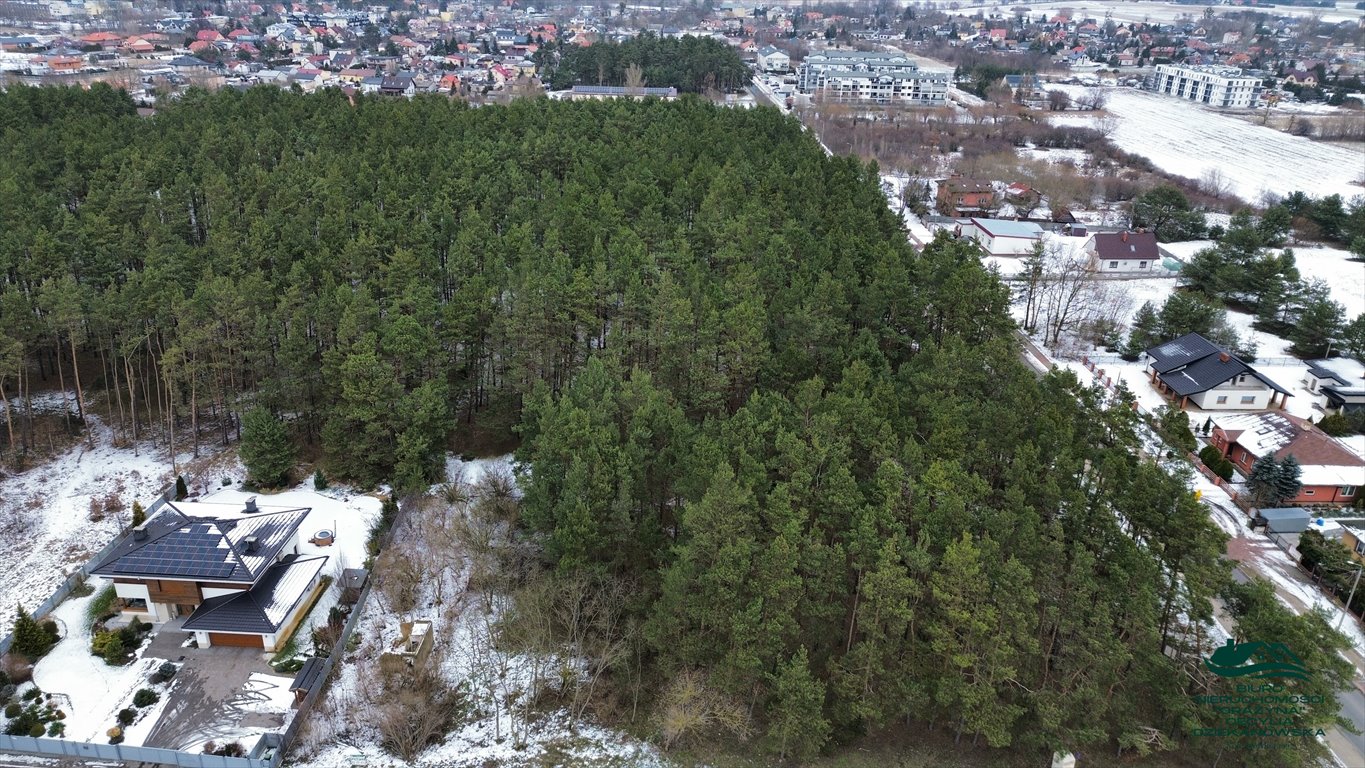 Działka leśna na sprzedaż Ciechocinek  7 237m2 Foto 3