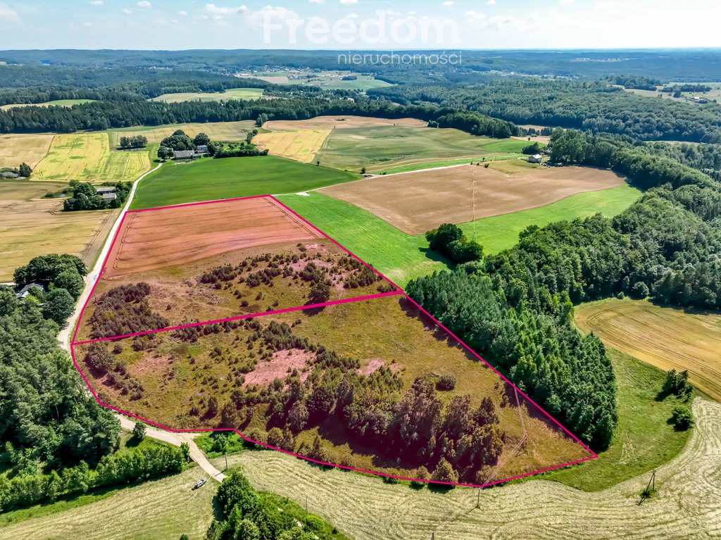 Działka budowlana na sprzedaż Czarna Huta, Szara  49 309m2 Foto 1