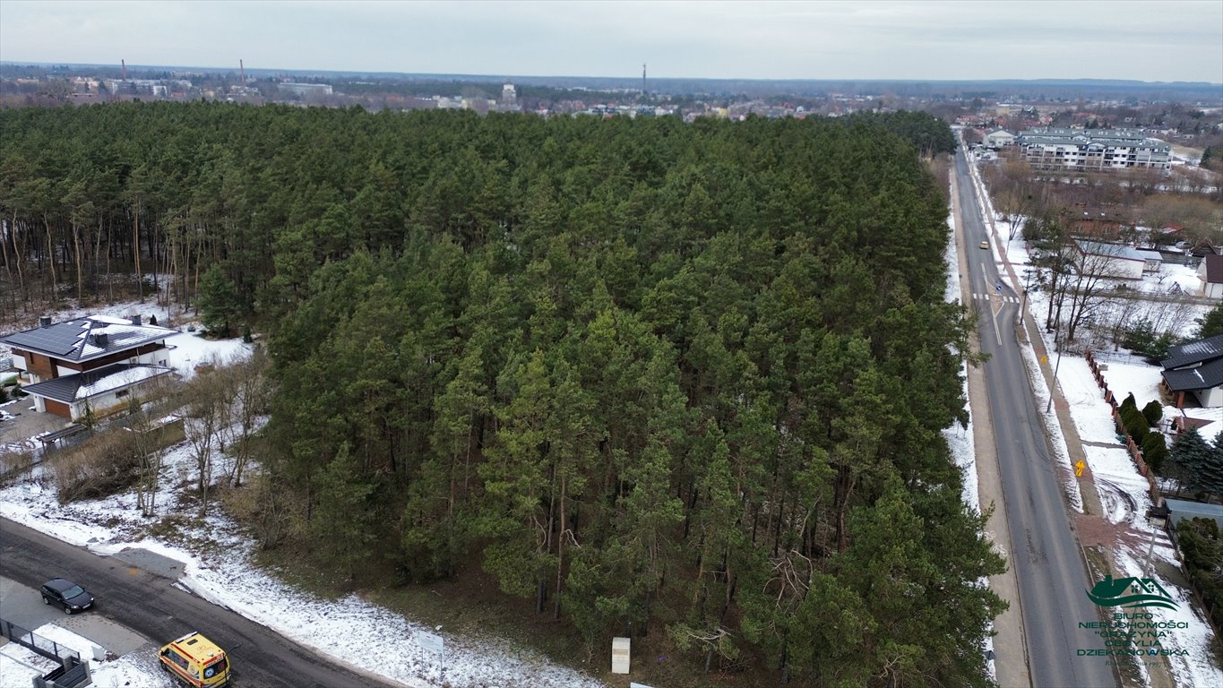 Działka leśna na sprzedaż Ciechocinek  7 237m2 Foto 4