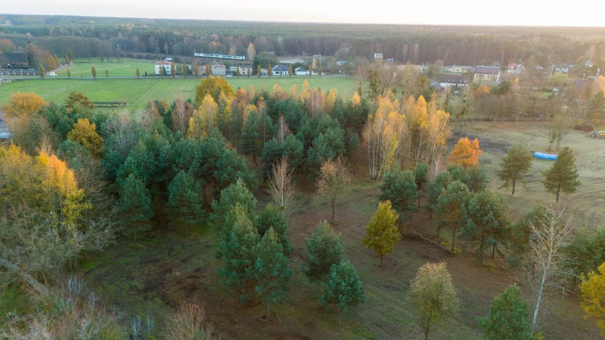 Działka budowlana na sprzedaż Koszęcin, Słowików  1 099m2 Foto 4