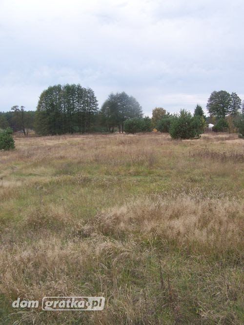 Urokliwa działka 4700 m² z mediami, lasem i jeziorem Glinik  4 700m2 Foto 1