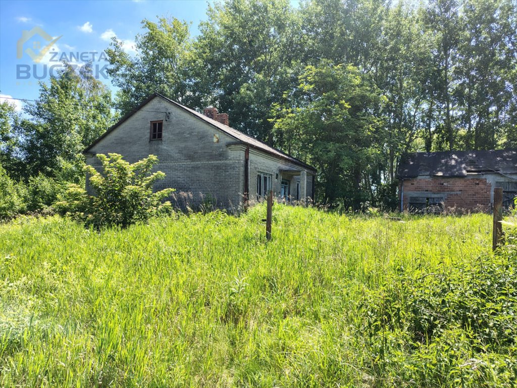 Sprzedam urokliwe siedlisko 90 m² z budynkami i ziemią 0,49 ha Plecewice  90m2 Foto 1