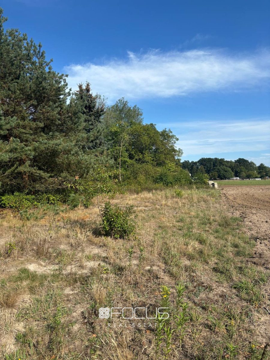 Działka leśna na sprzedaż Józefów, Leśna  15 000m2 Foto 5