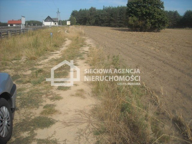 Działka 25 991 m² w Cekcynie z mediami i potencjałem Cekcyn  25 991m2 Foto 1