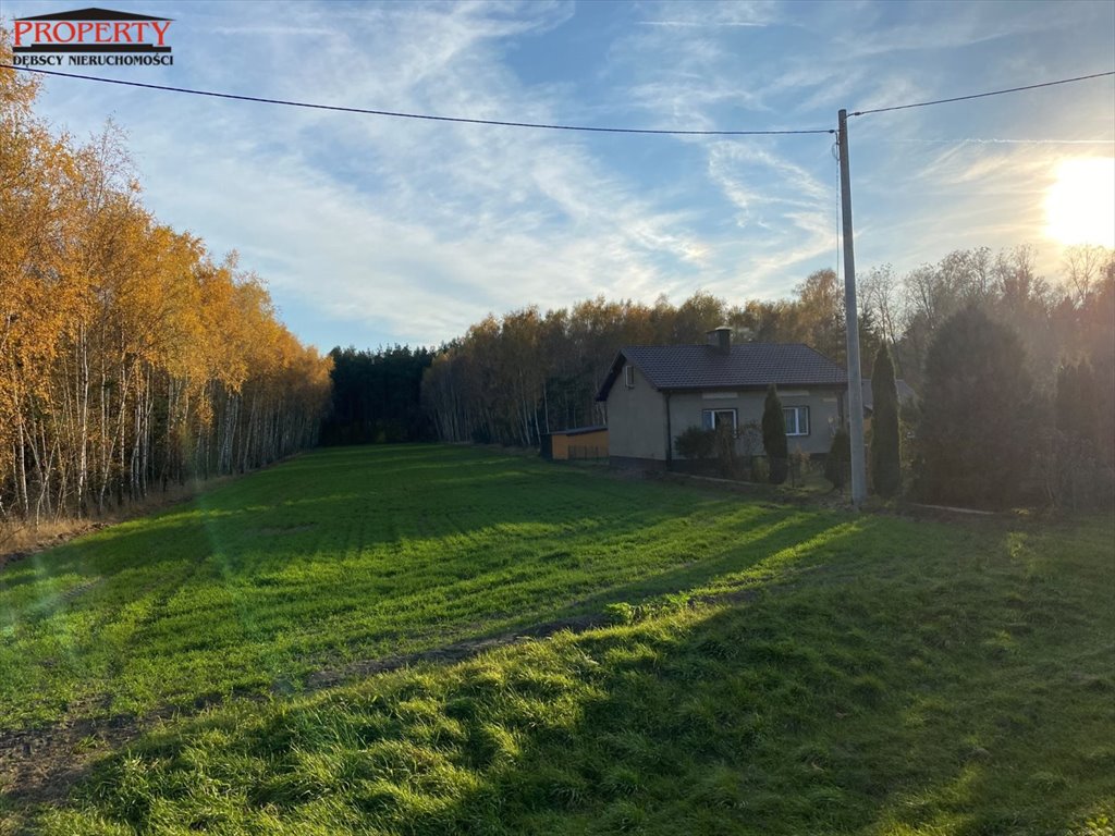 Działka leśna na sprzedaż Barłogi, BARŁOGI  11 400m2 Foto 12