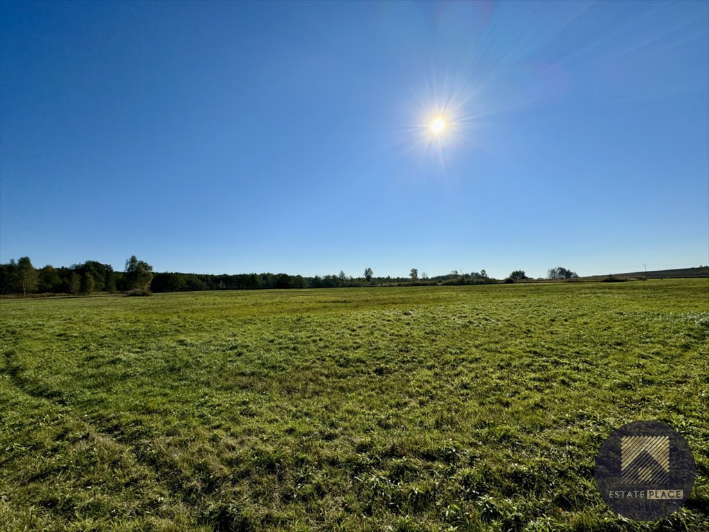 Działka inwestycyjna na sprzedaż Sieniawa  177 000m2 Foto 1