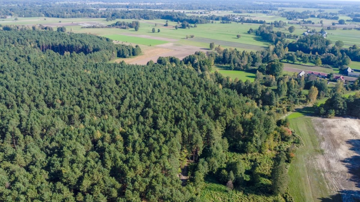 Działka leśna na sprzedaż Michałowo  36 000m2 Foto 11