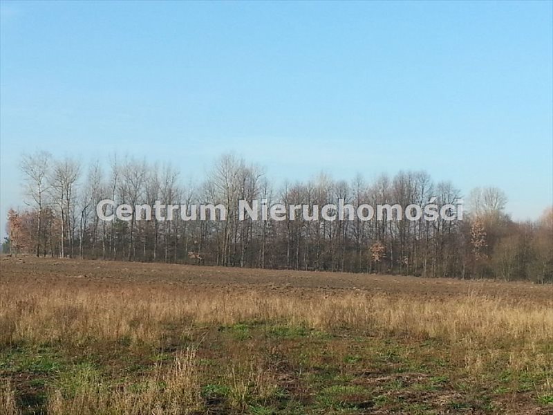 Działka inna na sprzedaż Wręczyca 16 900m2 Foto 1 Działka inna na sprzedaż Wręczyca 16 900m2 Foto 1