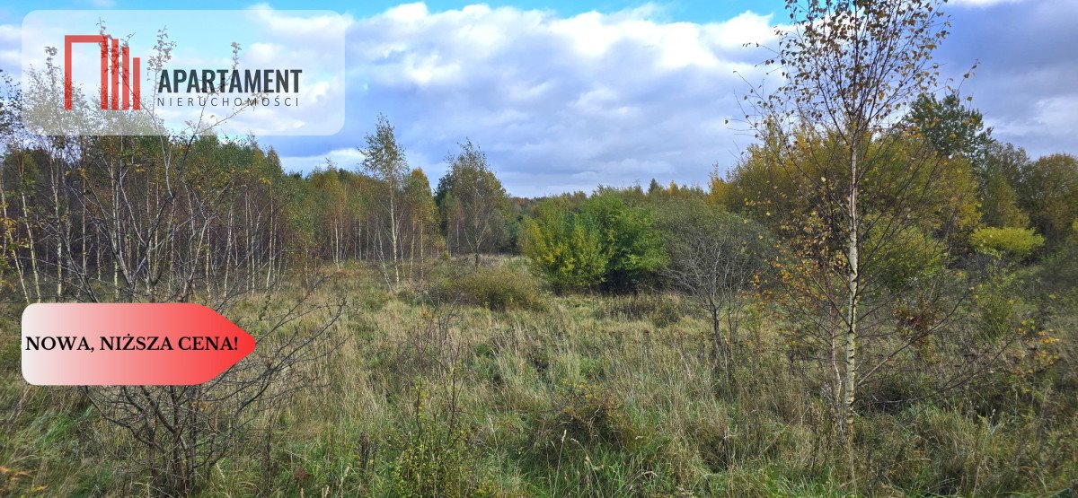 Urokliwe działki pod zabudowę w Mierzeszynie, 1496 m² Mierzeszyn  1 496m2 Foto 1