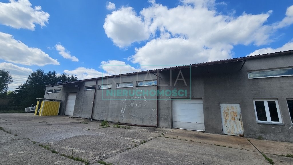 Magazyn na wynajem Ożarów Mazowiecki  1 630m2 Foto 4