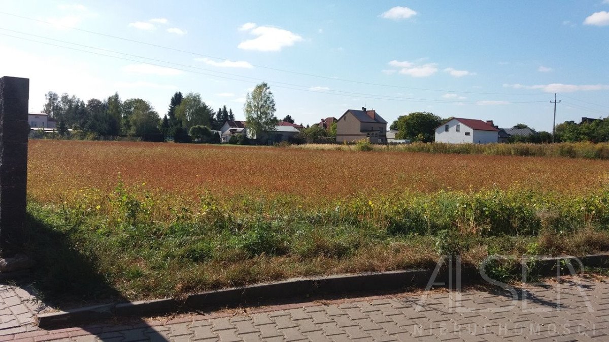 Sprzedam działkę 3513 m² w Nowej Iwicznej z mediami Nowa Iwiczna, Ignacego Krasickiego  3 513m2 Foto 1